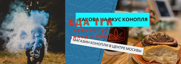 амф Гусев