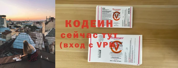 амф Гусев