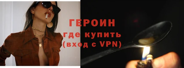 амф Гусев