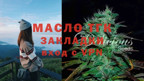 амф Гусев