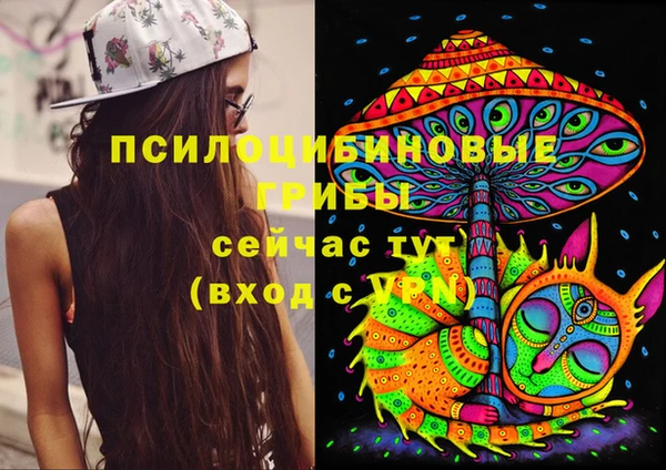 метамфетамин Гусиноозёрск