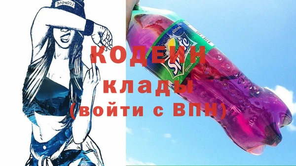 амф Гусев