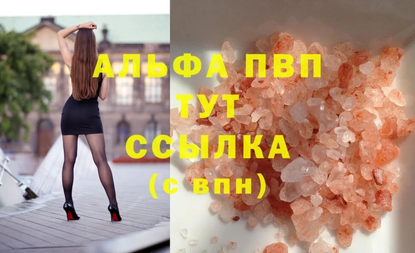 амф Гусев