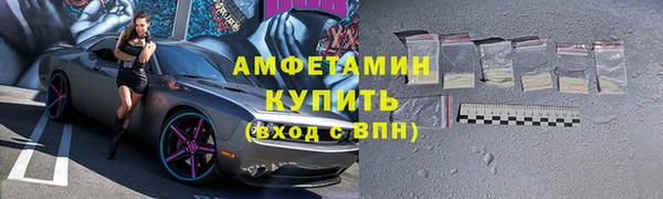 амф Гусев