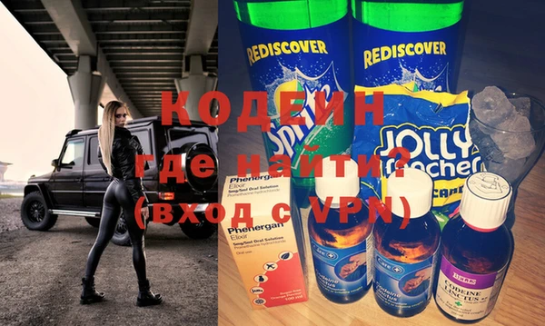 амф Гусев
