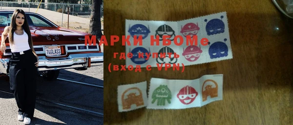 амф Гусев