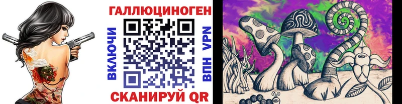 Купить  Томмот  Псилоцибиновые грибы Psilocybine cubensis 